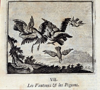 Gribbe og duer. Fabler af Jean de La Fontaine (1621-95). Illustration af François Chauveau (1613-1676). Udgave fra 1728. af Francois Chauveau
