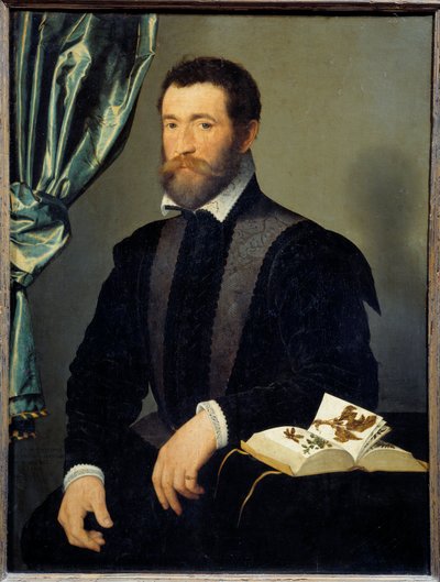 Portræt af apotekeren Pierre Quthe (1519-apres 1588) Maleri af Francois Clouet (1515-1572) 1562 Søn. 0,91x0,7 m - Portræt af apotekeren Pierre Quthe (1519- ca1588). Maleri af Francois Clouet (1515-1572) af François Clouet