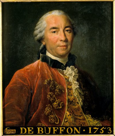 Portræt af Georges Louis Leclerc, greve af Buffon, intendant for de kongelige haver, naturforsker og forfatter (1707-1788). Maleri efter originalen af Francois Hubert Drouais (1727-1775). Dim 0,63 x 0,52. Versailles. Chateau Museum af Francois Hubert Drouais
