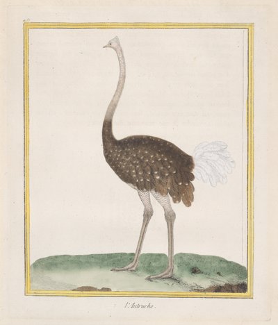 Struds Struds, 1770-86. af Francois Nicolas Martinet