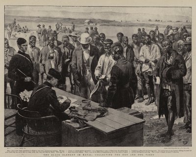 Det sorte element i Natal, som opkræver hytte- og hundeafgifterne af Frank Dadd