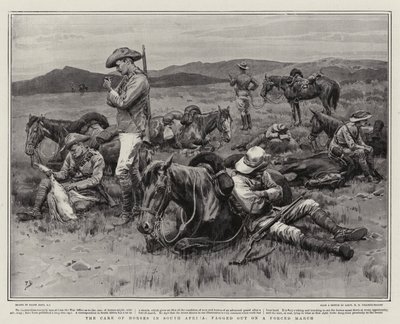 The Care of Horses i Sydafrika, fik ud på en tvungen march af Frank Dadd