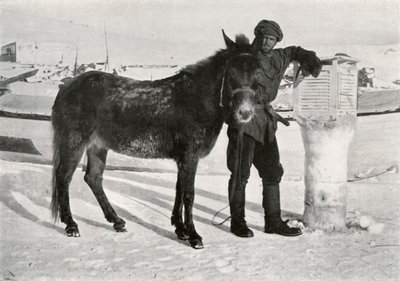 Gran med Mule Lal Khan, c1911, 1913 af Frank Debenham