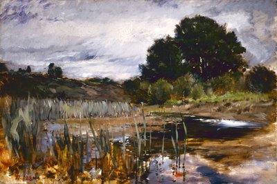Afstemningslandskab af Frank Duveneck