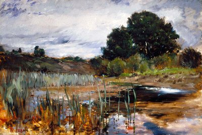  af Frank Duveneck