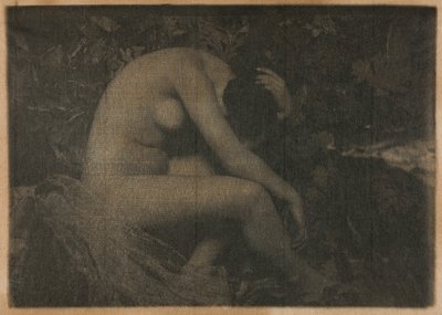 Cikaden af Frank Eugene