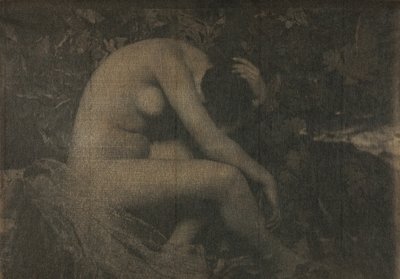 Cikaden, 1898. af Frank Eugene
