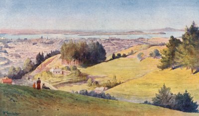 New Zealand: Auckland (farvelitografi) af Frank H Wright