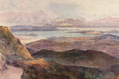 New Zealand: Coromandel (farvelitografi) af Frank H Wright