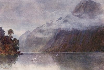 New Zealand: I Milford Sound (farvelitografi) af Frank H Wright