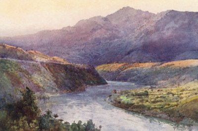 New Zealand: On the Upper Wanganui (farvelitografi) af Frank H Wright