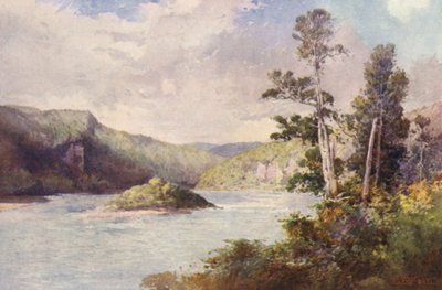 New Zealand: White Cliffs, Buller River (farvelitografi) af Frank H Wright