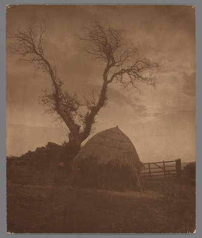 Egton Bridge i Whitby ved zonsondergang The Curfew of the Sun (titel på objekt) af Frank Meadow Sutcliffe
