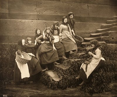 Kvinder venter på dagenes fangst, Whitby Harbour, North Yorkshire, ca. 1899 af Frank Meadow Sutcliffe
