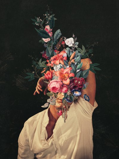Der blomstrede roser, hver gang jeg tænkte på dig af Frank Moth