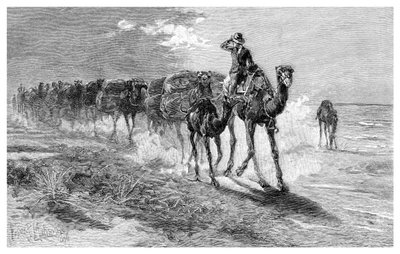 Kameler, der bærer uld, 1886. af Frank P. Mahony