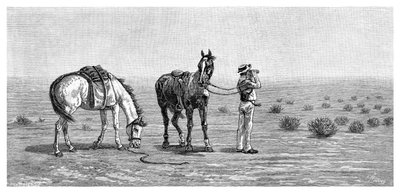 Intet i sigte, 1886. af Frank P. Mahony