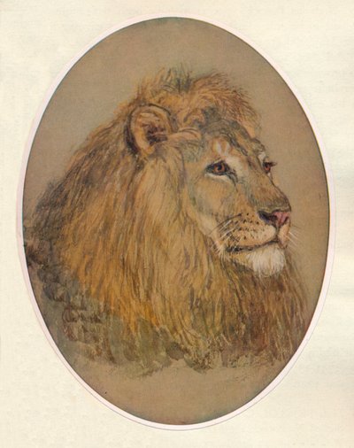 Lions Head, c1896 af Frank Paton