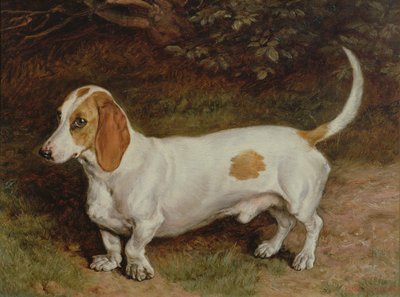 Min yndlingsgravhund, 1885 af Frank Paton