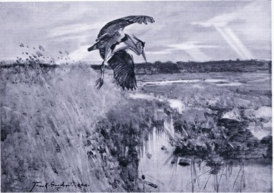 Jack Harnser-Heron af Frank Southgate