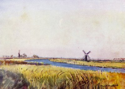 Norfolk Broads: Above St Olaves (farve litho) af Frank Southgate