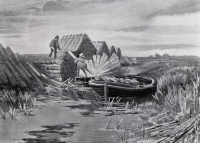Norfolk Broads: Reed-stabling (litho) af Frank Southgate