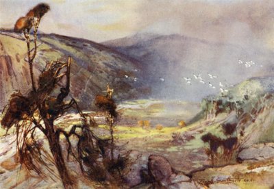 Storm in the Cheviots (farve litho) af Frank Southgate