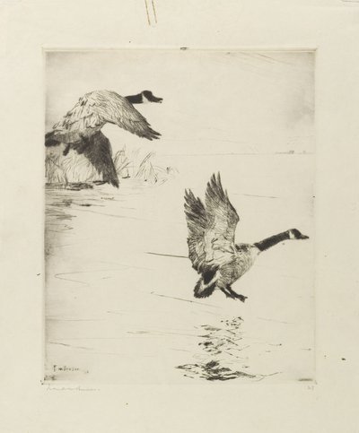 Gæs stiger af af Frank Weston Benson