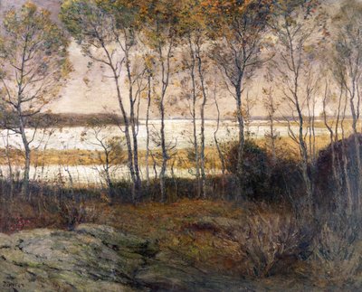 Sølvfarvet vand af Franklin De Haven