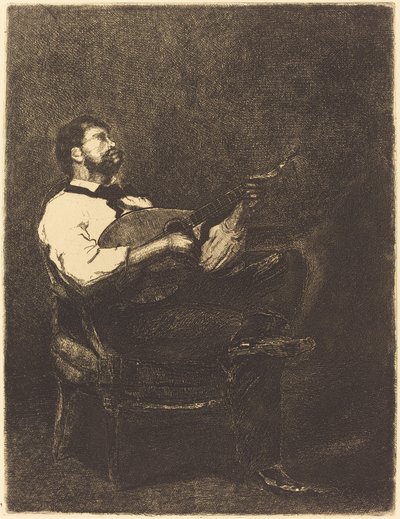 Guitar spiller af François Bonvin