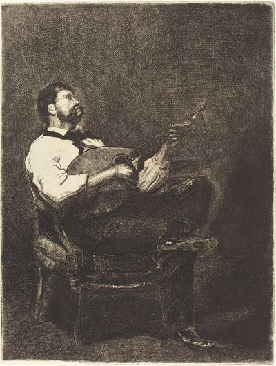 Guitar spiller af François Bonvin
