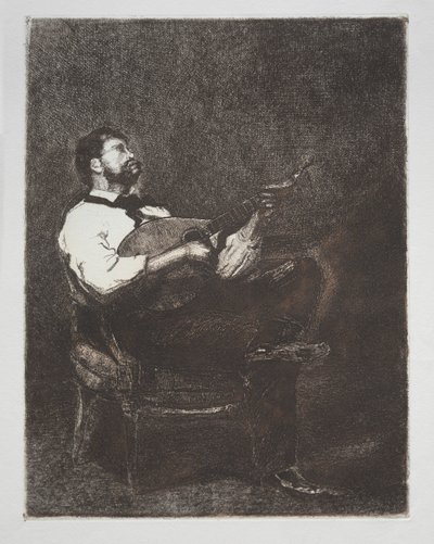 Guitar spiller af François Bonvin