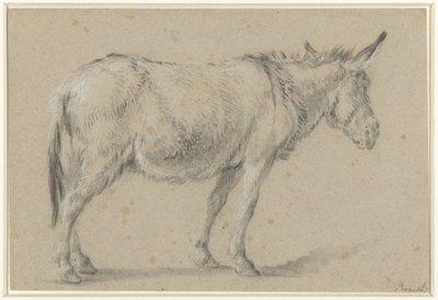 Stående æsel, vendt mod højre af François Boucher (possibly)