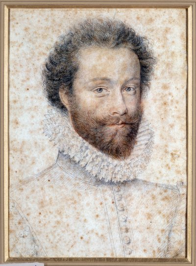 Portræt af ukendt måske Louis I, Prince of Conde af François Clouet
