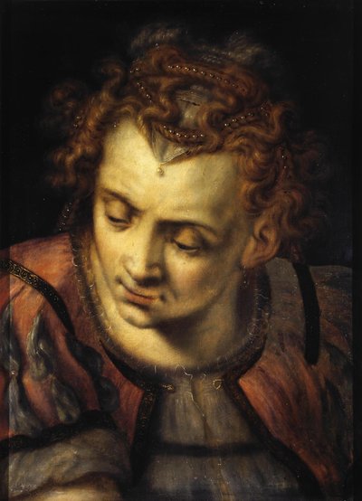 Studie af en kvindes hoved af Frans Floris I