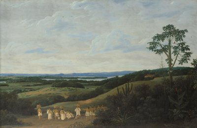 Et brasiliansk landskab af Frans Post