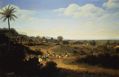 Panoramaudsigt i Brasilien (par 61466) af Frans Post