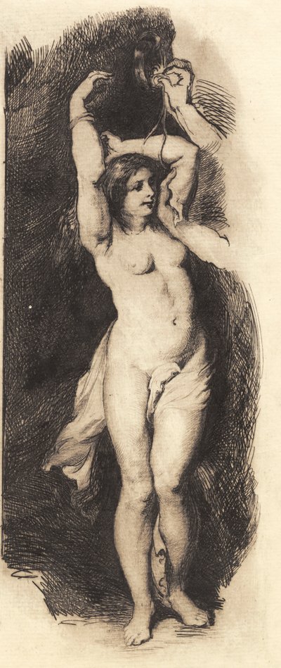 Andromeda, efter Rubens af Frans Schwartz