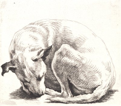 Prøveplade: En hund af Frans Schwartz