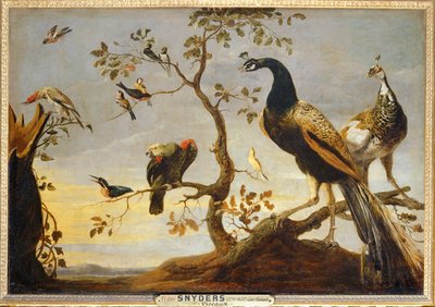 Poserer på grene ... af Frans Snyders