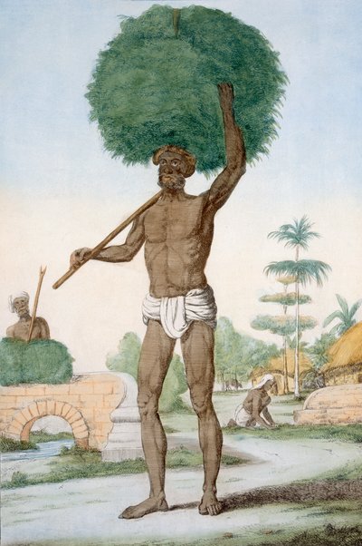Hinduisk tjener, der slår græs, 