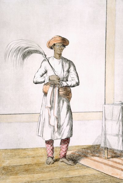 Piskerisbærer, fra 