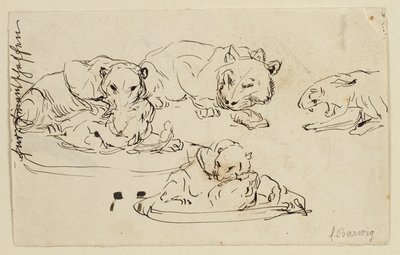 Snurrende Sundapanthers af Franz Barwig d. Ä.