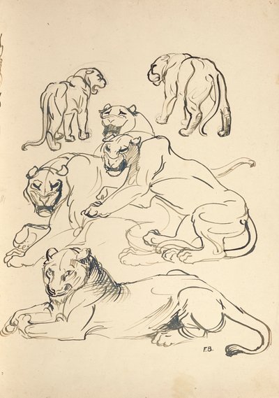 Seks Cougars af Franz Barwig d. Ä.