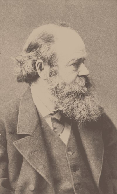 Portræt af komponisten Robert von Hornstein 1833-1890. af Franz Hanfstaengl