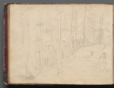 Album med udsigter over Rom og omegn, Landskabsstudier, side 01b: Romersk landskab af Franz Johann Heinrich Nadorp