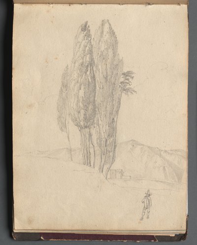 Album med udsigt over Rom og omgivelser, Landskabsstudier, side 20a: Træer af Franz Johann Heinrich Nadorp