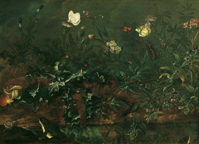 Plænestykke med tidsel, frøer og guldsmede af Franz Michael Siegmund von Purgau d. Ä.