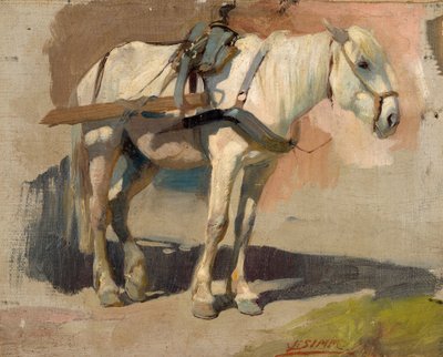 Udnyttet form af Franz Xaver Simm
