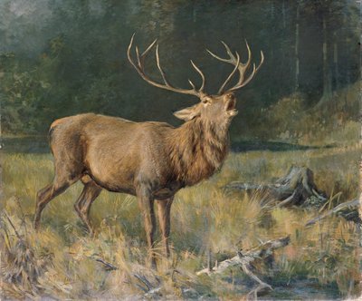Brun hjort af Franz Xaver von Pausinger